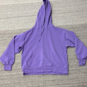 Aritzia TNA Boyfriend Hoodie